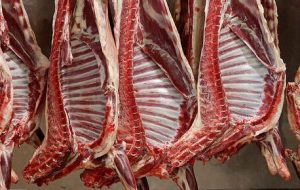 روند کاهشی قیمت گوشت ادامه دارد/ بازار دام در مسیر تعادل قرار گرفته است