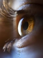تشدید بیماری های چشم در دوران کرونا/ راه‌های پیشگیری از انتقال کرونا از طریق چشم