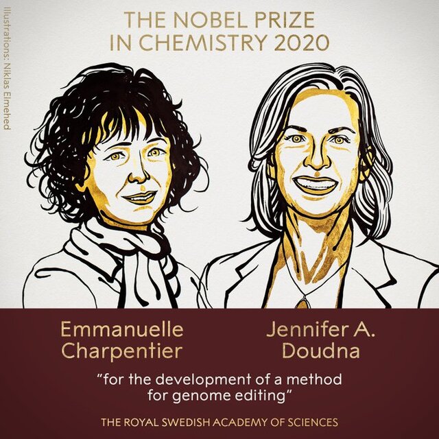 نوبل شیمی ۲۰۲۰ به توسعه دهندگان “قیچی ژنتیکی” رسید