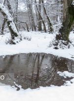 رئیس سازمان هواشناسی: زمستان سختی در راه است