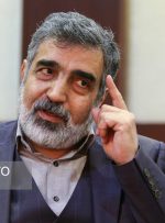 کمالوندی: عدم اجرای پروتکل الحاقی باعث تردید و ابهام نسبت به برنامه هسته‌ای ایران می‌شود