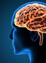 کشف عامل مهم گسترش سرطان به مغز