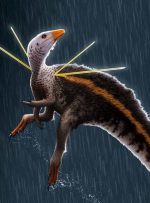 کشف فسیل گونه جدیدی از دایناسور مشهور به “ارباب نیزه”
