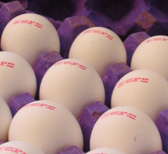 آیا عرضه تخم مرغ فله از بهمن ماه ممنوع خواهد شد؟