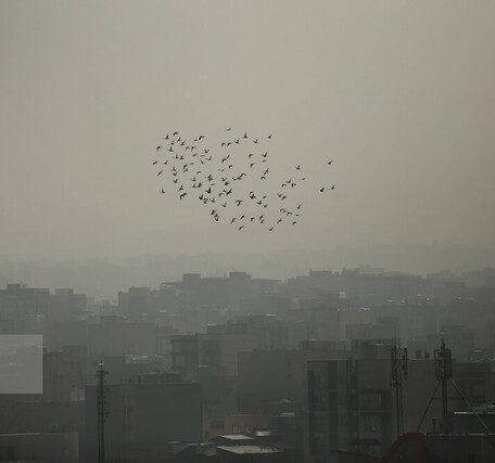 از “رسوخ آلودگی هوا به داخل منازل” تا “درگیری تمام ارگانهای بدن” از “رسوخ آلودگی هوا به داخل منازل” تا “درگیری تمام ارگانهای بدن”