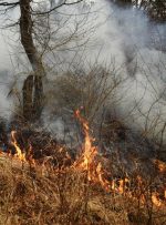 بکارگیری نیروهای ارتش و بسیج برای مهار آتش سوزی پارک ملی گلستان