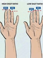 طول انگشتان عادات غذایی افراد را نشان می‌دهد!