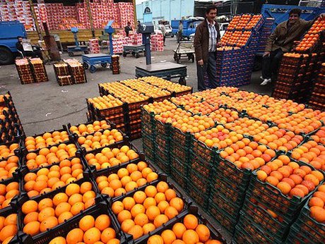 تامین میوه استان تهران برای تنظیم بازار شب عید/ توزیع حداقل۱۵۰ تُن مرغ تامین میوه استان تهران برای تنظیم بازار شب عید/ توزیع حداقل۱۵۰ تُن مرغ
