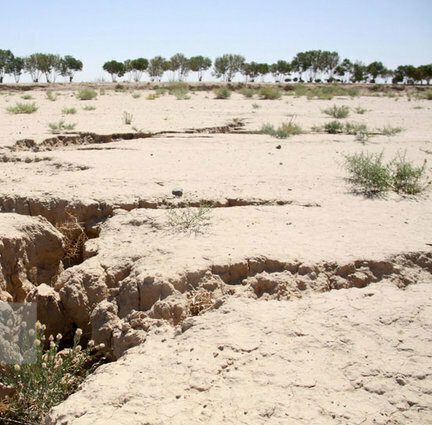۱۱ میلیون هکتار خراسان جنوبی در معرض فرسایش خاک و باد
