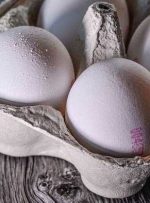 توصیه وزارت بهداشت درباره خرید و نگهداری تخم مرغ در دوران کرونا