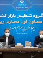 با توزیع صحیح، مردم نباید برای مرغ و روغن در صف معطل شوند