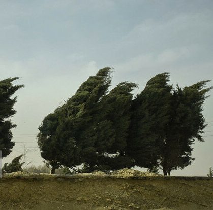 وزش باد نسبتا شدید در تهران/ کیفیت هوای پایتخت در محدوده قابل قبول وزش باد نسبتا شدید در تهران/ کیفیت هوای پایتخت در محدوده قابل قبول