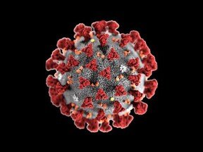 تعداد مبتلایان به ویروس دلتا بین افراد واکسینه شده بیشتر است