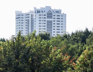 عطش فروش مسکن مقداری فروکش کرد عطش فروش مسکن مقداری فروکش کرد