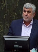 واکنش نماینده مسجدسلیمان به طرح تشکیل استان خوزستان جنوبی