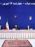 موافقت دولت با واردات تخم مرغ نطفه دار گوشتی