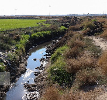 ورود کمیسیون اصل نود به پرونده کشت محصولات کشاورزی با آب‌های آلوده