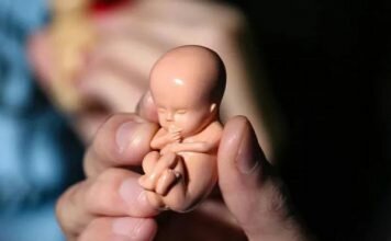 بررسی راهکارهای مقابله با سقط غیرقانونی در دیدار اعضای کمیسیون بهداشت با اژهای بررسی راهکارهای مقابله با سقط غیرقانونی در دیدار اعضای کمیسیون بهداشت با اژهای