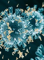 شناسایی یک پادتن جدید که می‌تواند با انواع کروناویروس مقابله کند