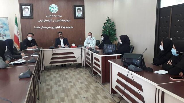 صادرات ۲۴۷۳ تن محصولات کشاورزی در مهرماه از مرزهای نوردوز و جلفا صادرات ۲۴۷۳ تن محصولات کشاورزی در مهرماه از مرزهای نوردوز و جلفا