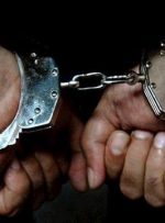 دستگیری عامل اسیدپاشی در یکی از پارک‌های شهرستان شهریار