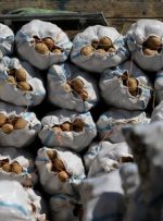 جریان صادرات سیب‌زمینی به ترکمنستان و برگشت ۵۰ تنی از ازبکستان
