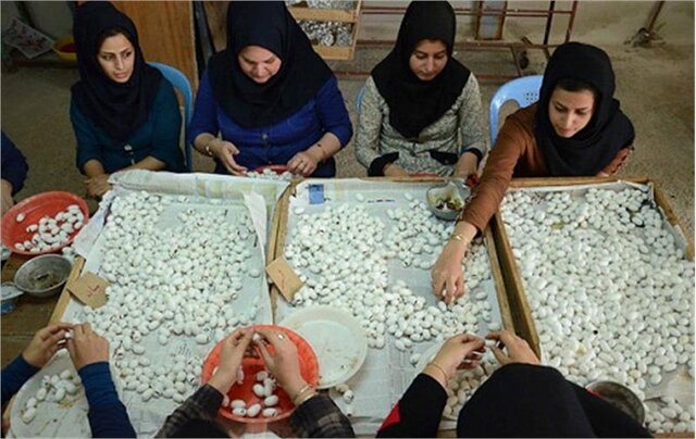 شغل های پردرآمد که تحصیلات عالیه نمیخواهد شغل های پردرآمد که تحصیلات عالیه نمیخواهد