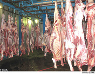 علت افزایش قیمت گوشت مشخص شد/ تغییری در قیمت دام زنده نداشتیم