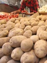 تشریح دلایل افزایش قیمت سیب‌زمینی