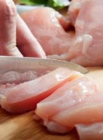 گوشت “ماکیان” و نگرانی از یک آلودگی انگلی