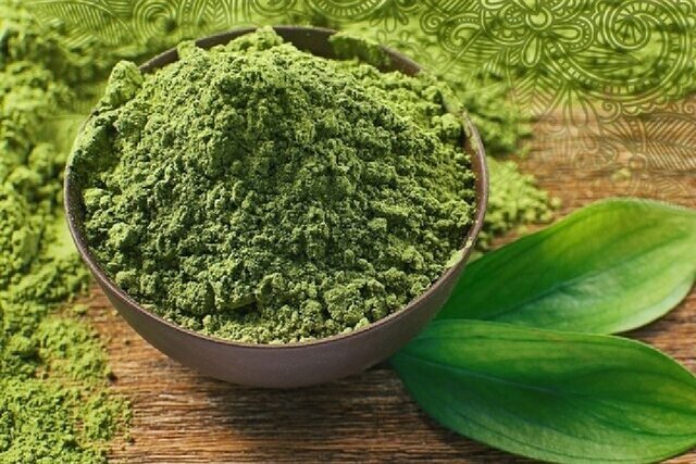 خواص شگفت انگیز گیاه حنا خواص شگفت انگیز گیاه حنا