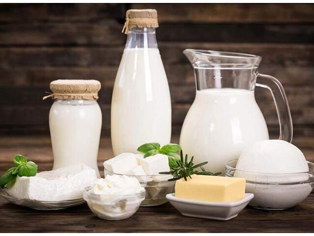 تولید سالانه ۱۲ هزار تن شیر خام در محمودآباد