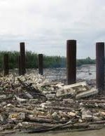 تالاب‌های شمال کشور را آلودگی شدیدی تهدید می‌کند