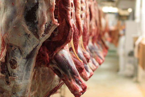 عرضه انواع گوشت قرمز با قیمت مناسب در روزهای پایانی سال عرضه انواع گوشت قرمز با قیمت مناسب در روزهای پایانی سال