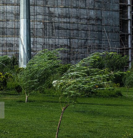 وزش باید نسبتا شدید در تهران