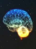 بررسی ارتباط سیگنالینگ انسولین با اختلالات عصبی تکوینی