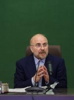 مجلس با الزام بانک مرکزی به واریز درآمدهای نفتی به خزانه، شفافیت وانضباط مالی را افزایش داد