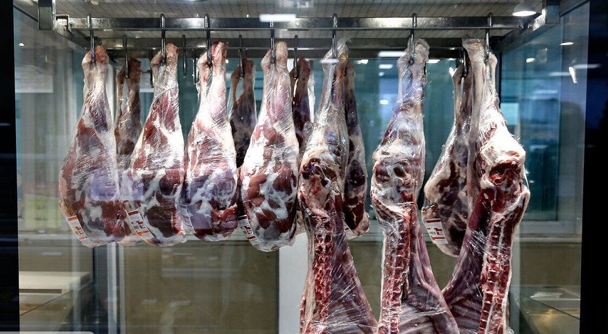کمبود گوشت قرمز در بازار نداریم/ گوشت با قیمت فعلی، گران فروشی است