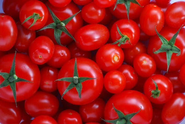 کاهش قیمت گوجه فرنگی و سیب زمینی/ بخشی از محصولات صادر میشود کاهش قیمت گوجه فرنگی و سیب زمینی/ بخشی از محصولات صادر میشود