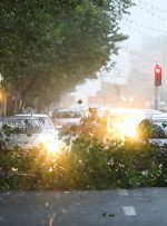 هشدار مدیریت بحران نسبت به وزش باد خیلی شدید در تهران