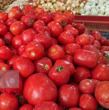 تفاوت عجیب قیمت گوجه فرنگی در یاسوج تفاوت عجیب قیمت گوجه فرنگی در یاسوج