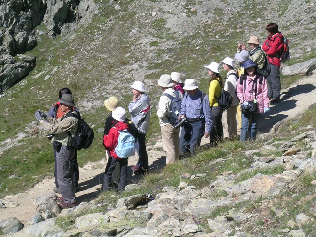 سفر گردشگران ژاپنی به ایران از سرگرفته شد سفر گردشگران ژاپنی به ایران از سرگرفته شد