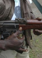 ۸ کشته و ۳۳ زخمی در حمله افراد مسلح به مقر پلیس در نیجر