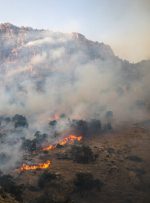خطر وقوع احتمالی آتش‌سوزی در جنگل‌های سمنان/ آماده‌باش نیروها تا پایان تابستان