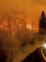 آتش‌سوزی‌ها در اروپا رکورد زد؛ ۶۶۰ هزار هکتار اراضی سوخته