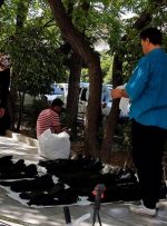 کاهش ۴۶ درصدی تعداد دستفروشان تهران