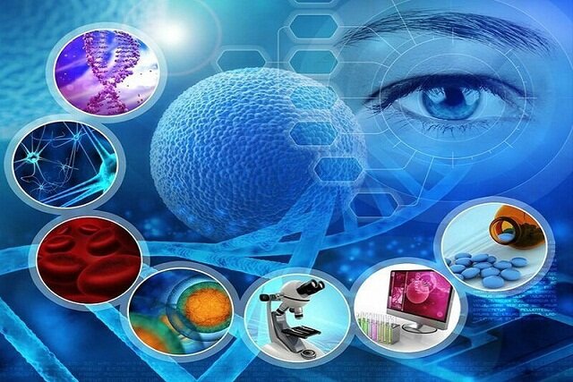 تولید ۳۳ کیت تشخیص در دستور کار پژوهشگاه ژنتیک/راه‌اندازی پردیس زیست فناوری
