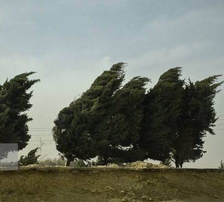 خطر آتشسوزی جنگلها در پی وزش باد گرم خطر آتشسوزی جنگلها در پی وزش باد گرم
