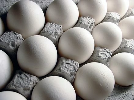 ضرر ۱۰ هزار تومانی مرغداران در فروش هر کیلو تخم مرغ ضرر ۱۰ هزار تومانی مرغداران در فروش هر کیلو تخم مرغ
