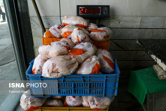 قیمت مرغ منجمد ۵۰ هزار تومان شد/ تصمیمات جدیدی برای خرید مرغ در راه است